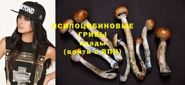 ешки Волоколамск