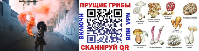 Галлюциногенные грибы мицелий  Микунь 