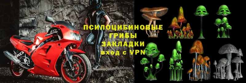 Галлюциногенные грибы Magic Shrooms  где продают   Микунь 